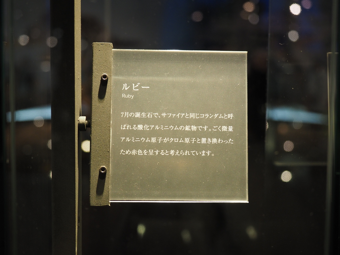P7210310.jpg
