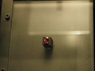 P7210311_thumb.png