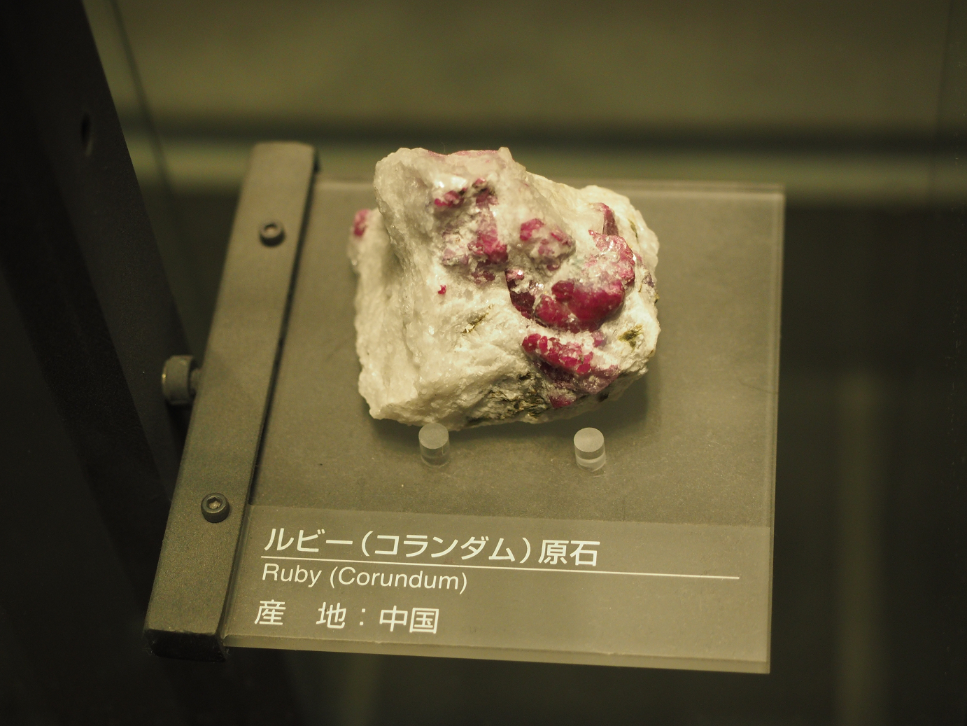 P7210312.jpg