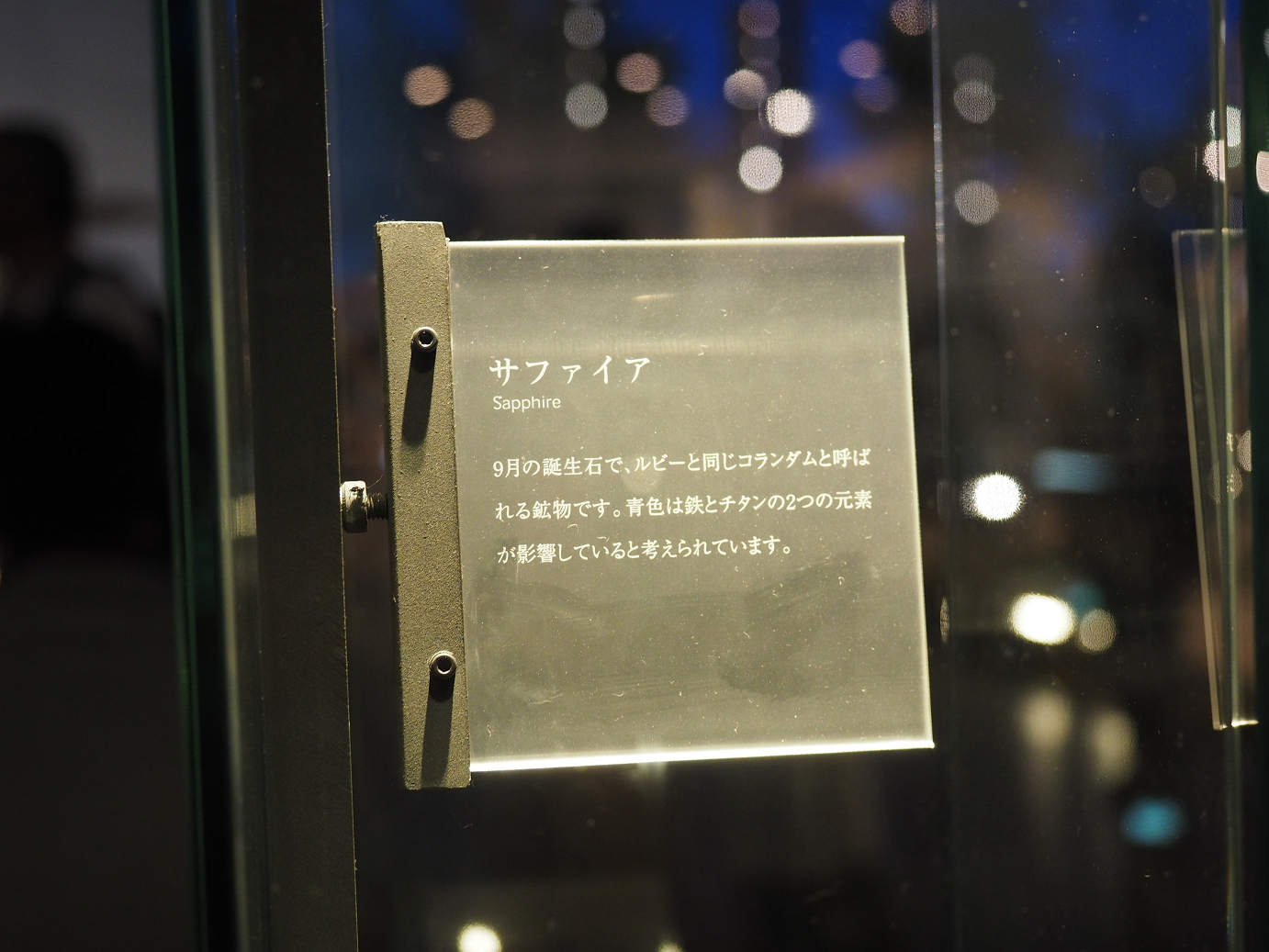 P7210318.jpg