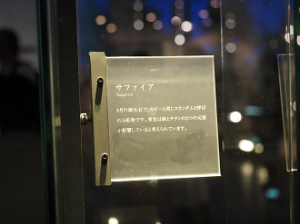 P7210318_thumb.png
