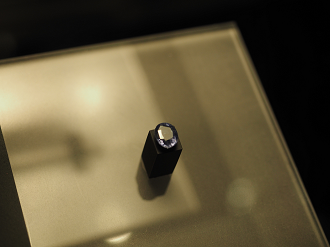 P7210319_thumb.png