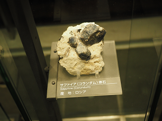 P7210320_thumb.png