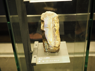 P7210323_thumb.png