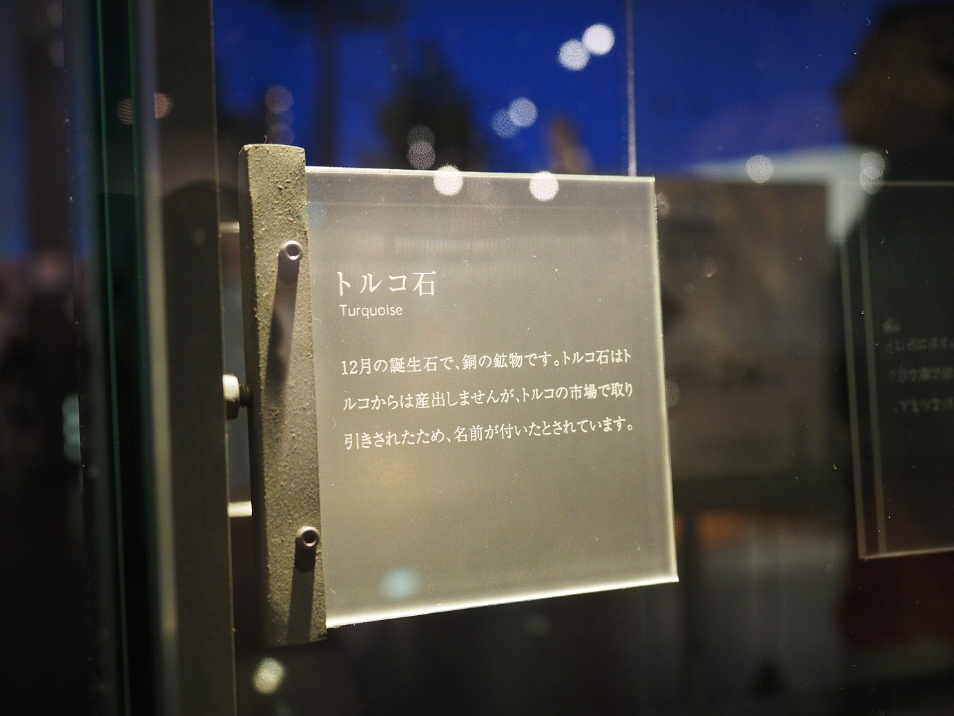 P7210328.jpg