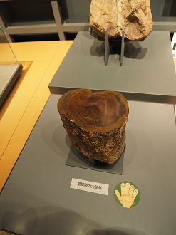 P7210355_thumb.png