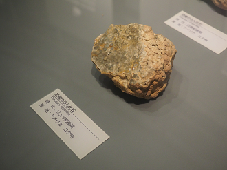 P7210363_thumb.png