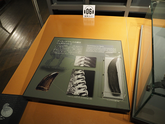 P7210367_thumb.png