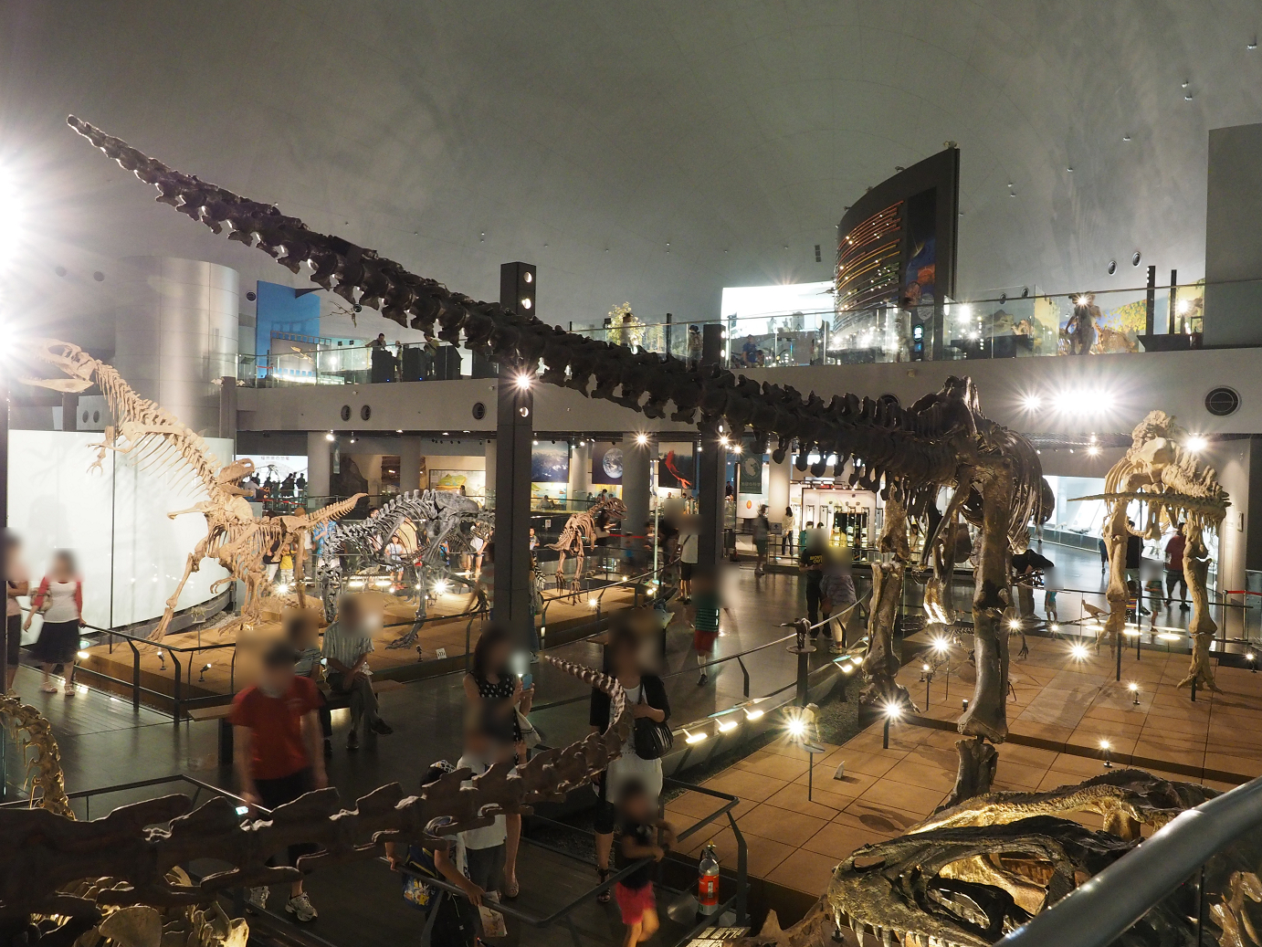 P7210384.jpg