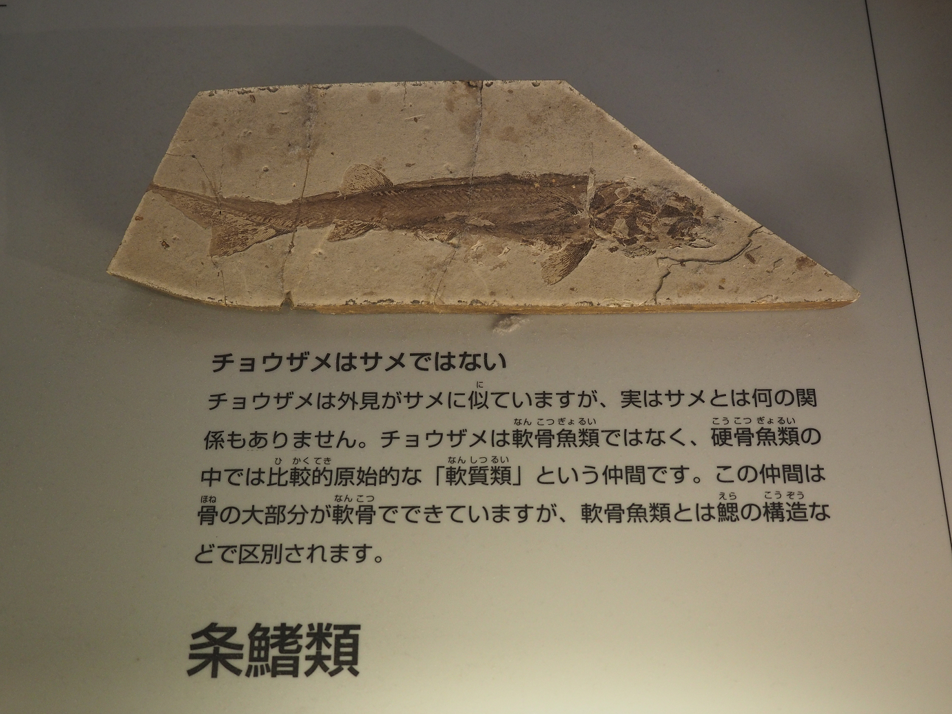P7210448.jpg