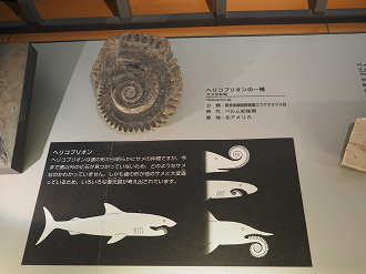 P7210451_thumb.png