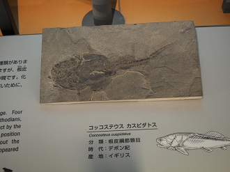 P7210455_thumb.png