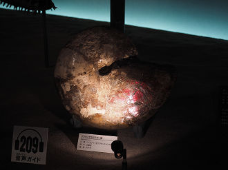 P7210490_thumb.png