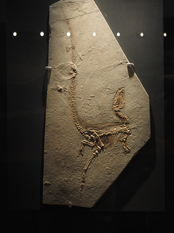 P7210507_thumb.png