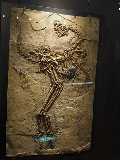 P7210508_thumb.png