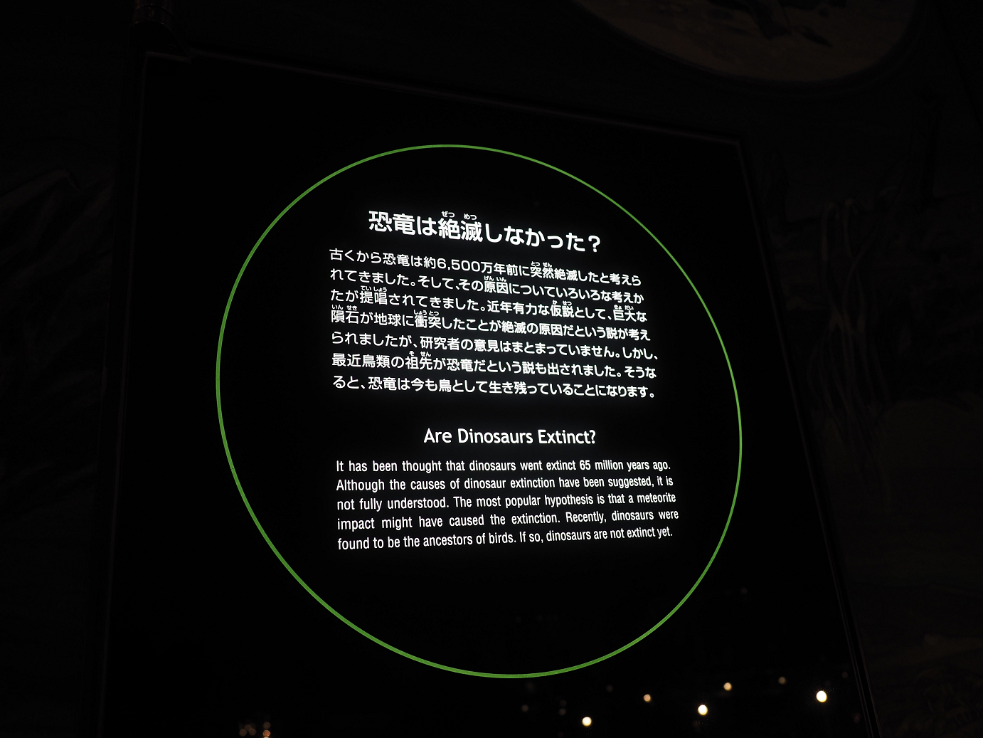 P7210514.jpg