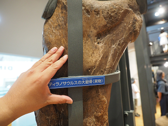 P7210540_thumb.png