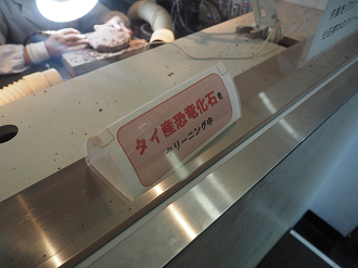 P7210541_thumb.png