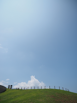 P7210566_thumb.png