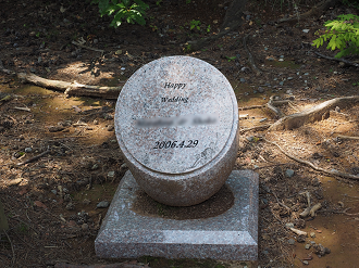 P7210601_thumb.png