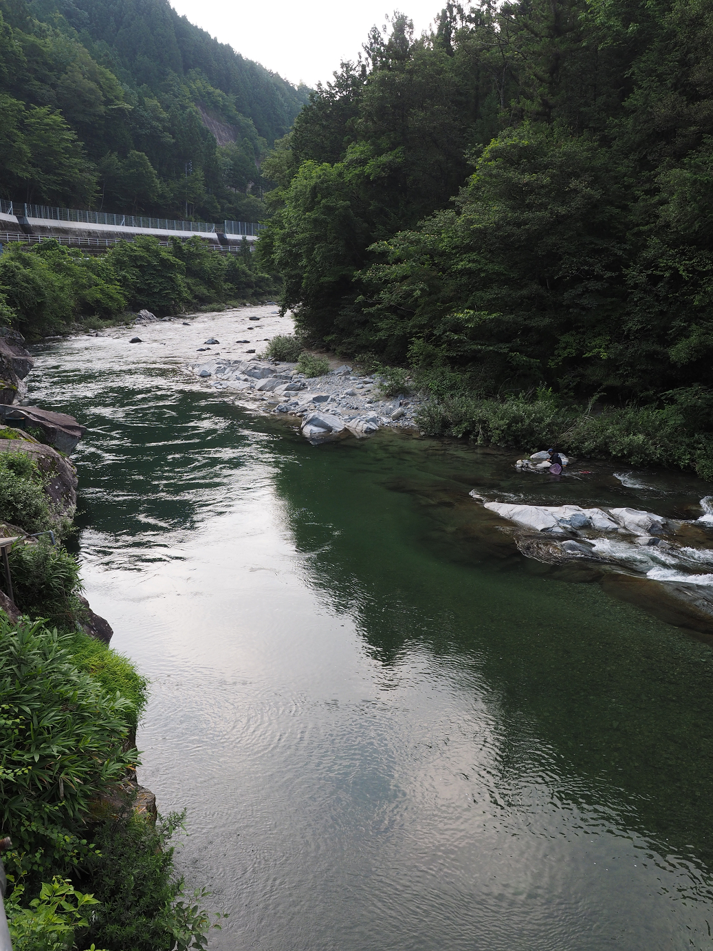 P7210663.jpg