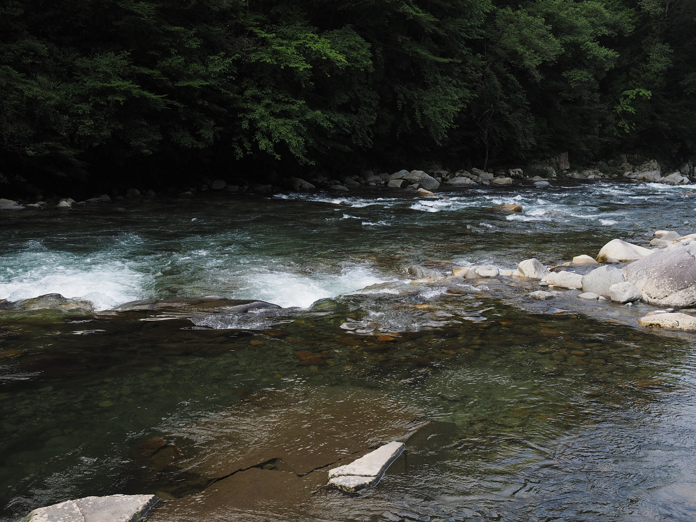 P7210690.jpg