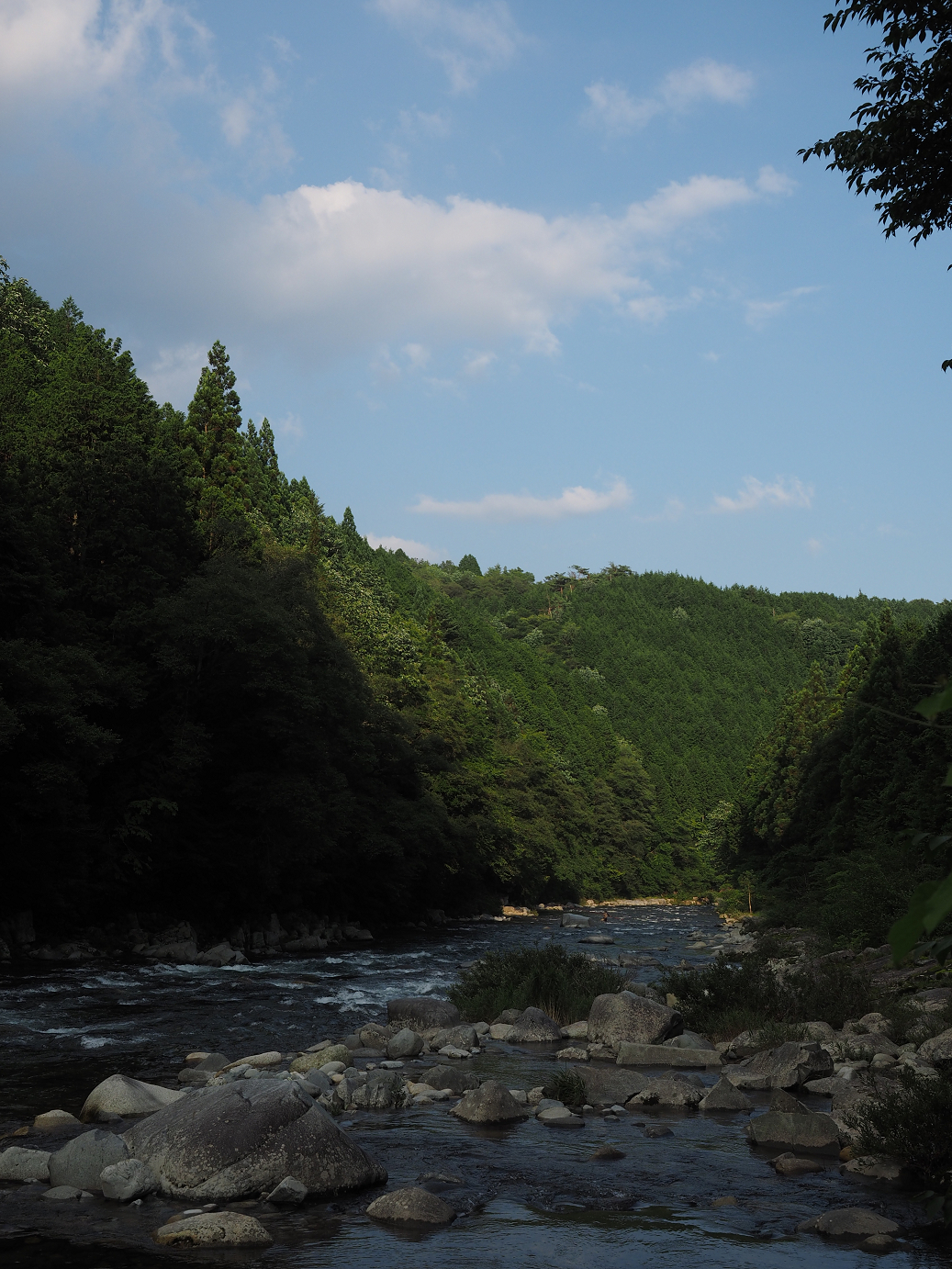 P7210695.jpg