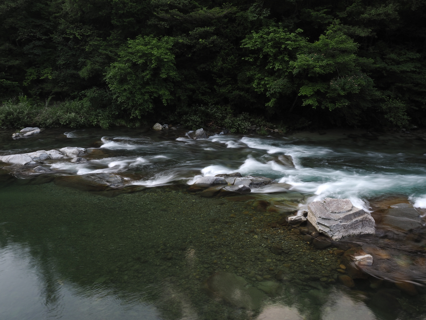 P7210759.jpg