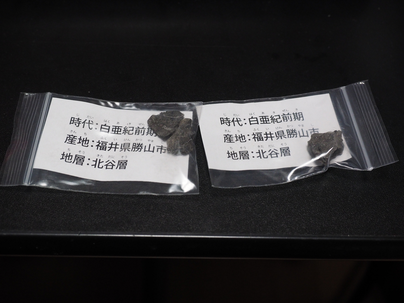 P7210827.jpg