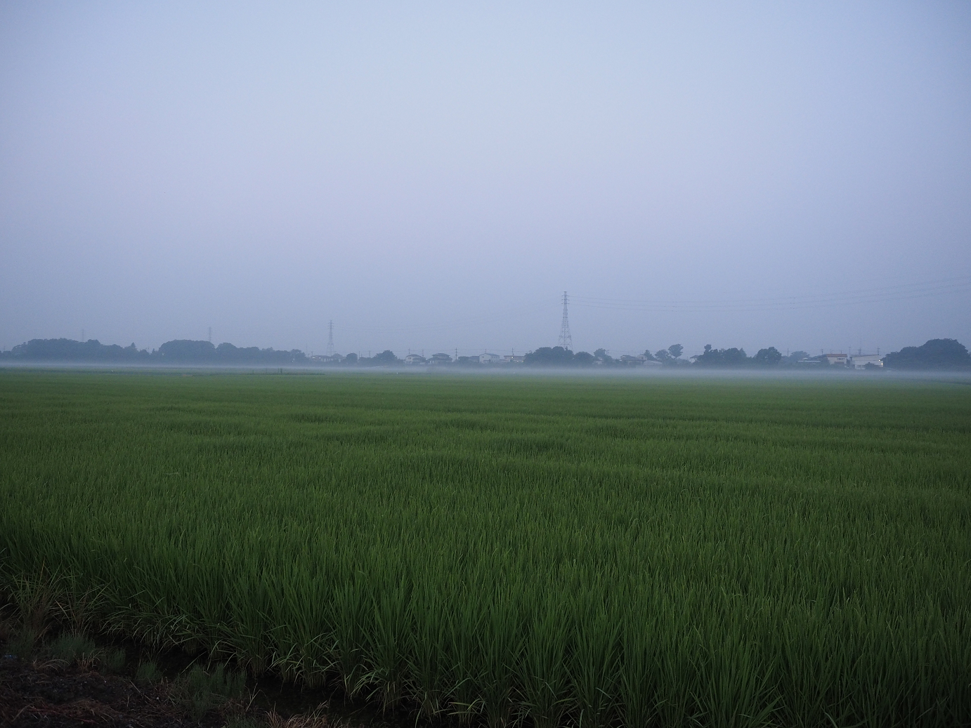 P7260839.jpg