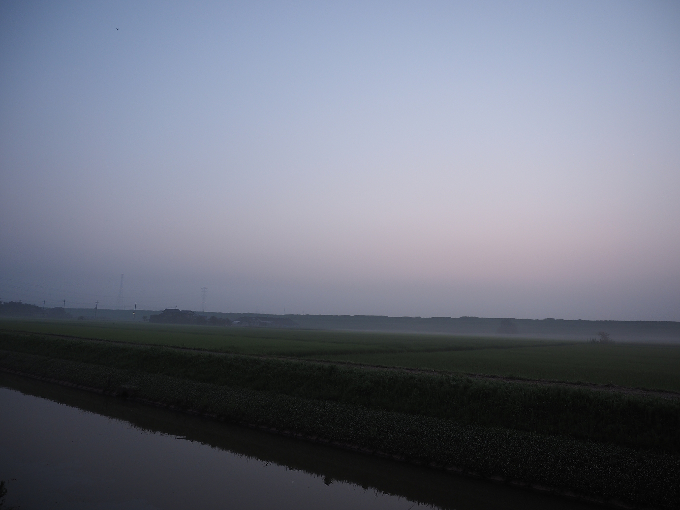P7260843.jpg