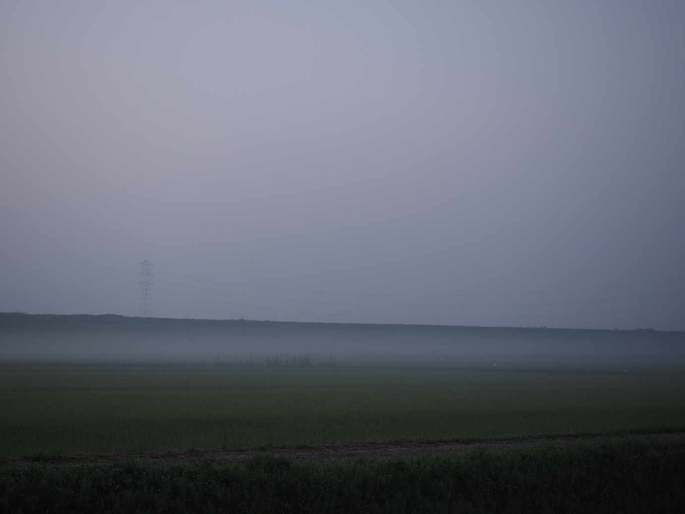 P7260855.jpg