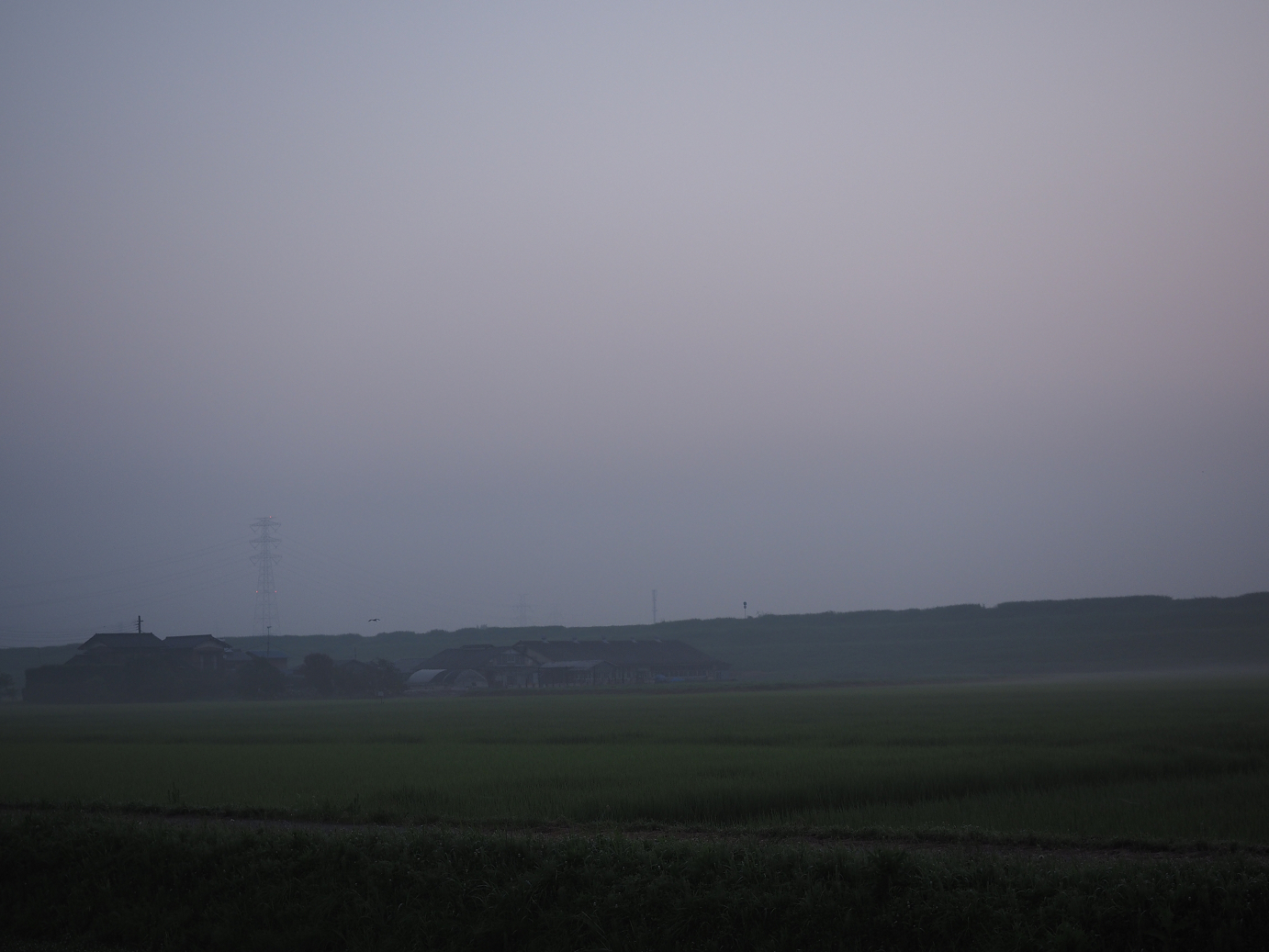 P7260860.jpg