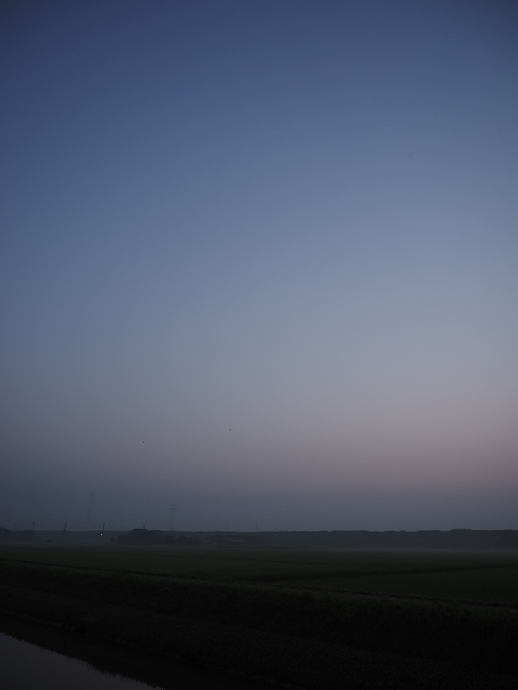 P7260862.jpg