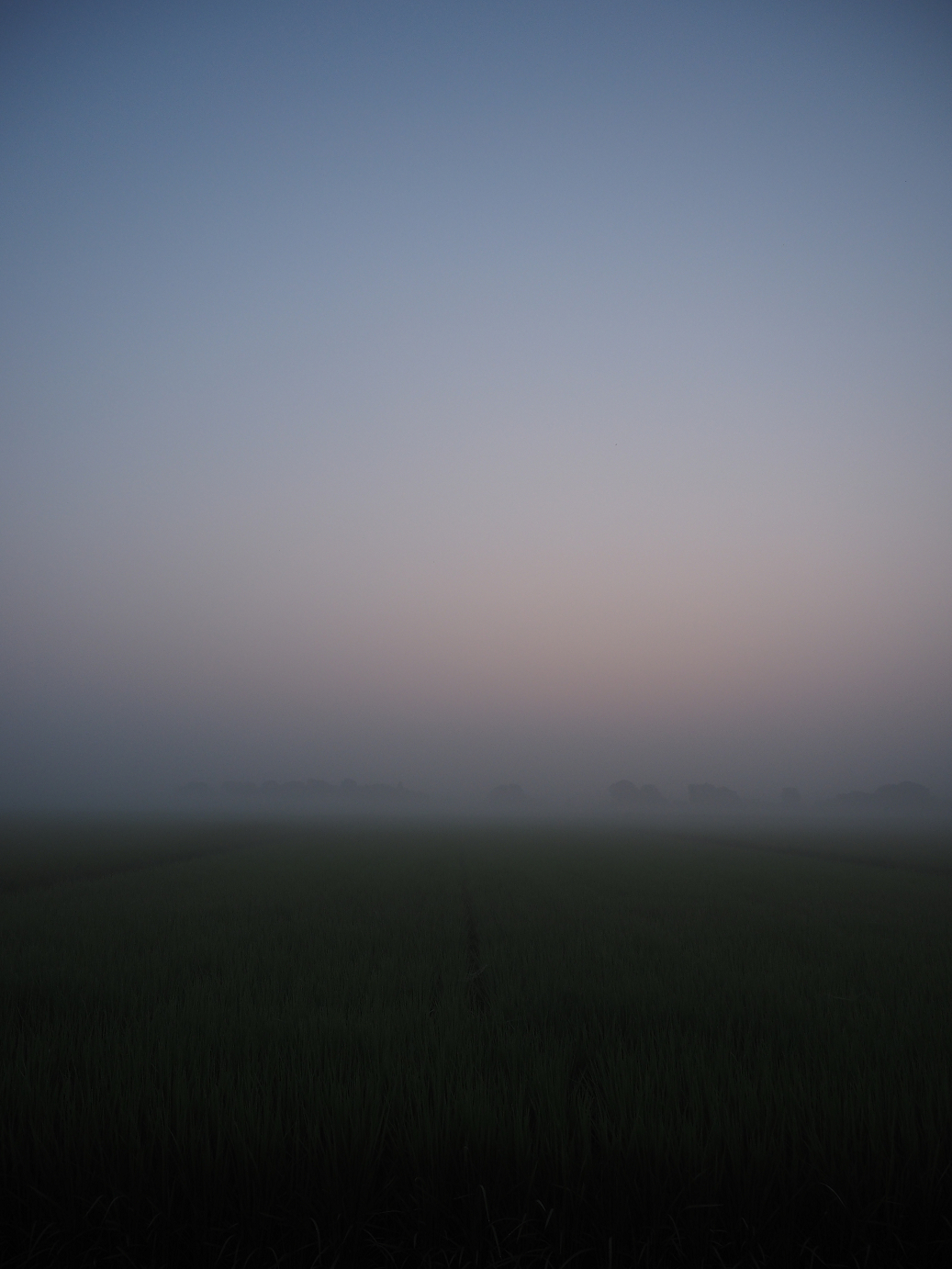 P7260880.jpg
