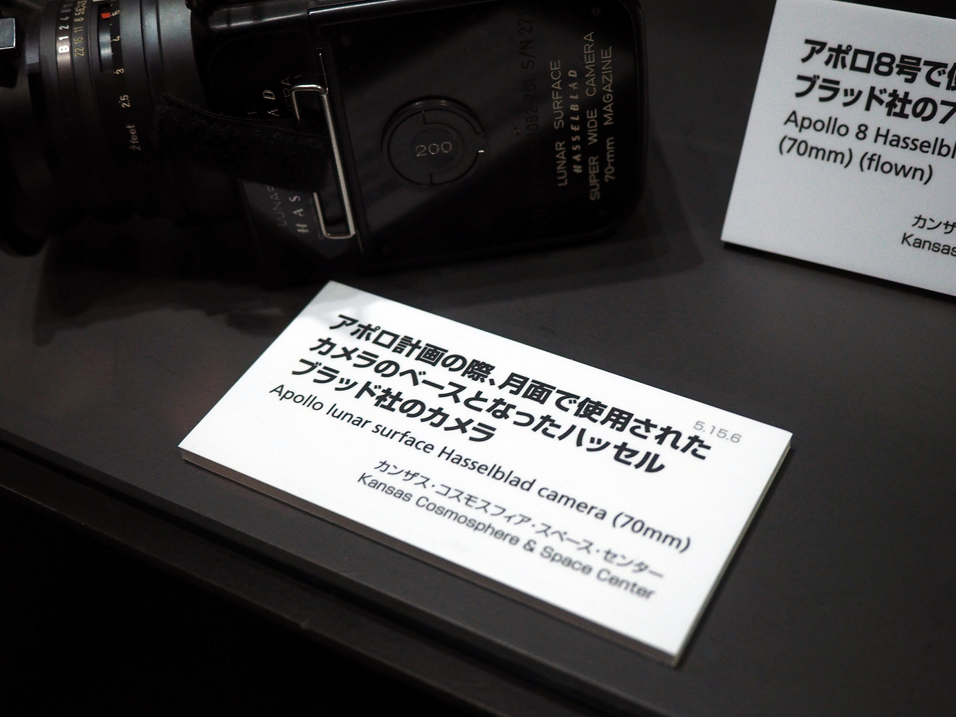 P7261119.jpg