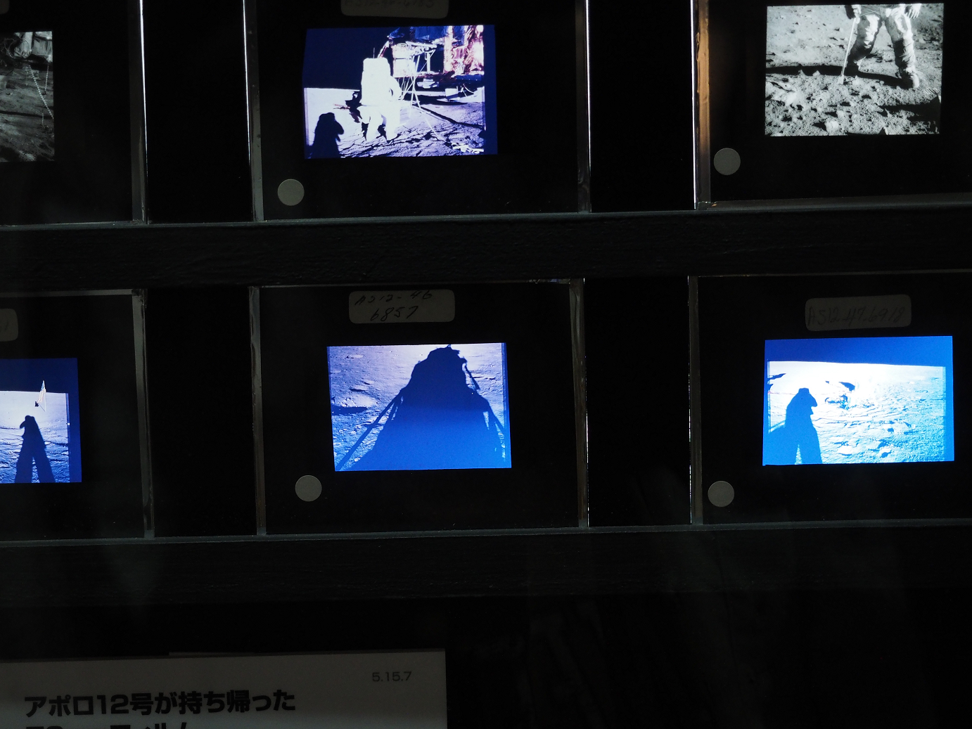 P7261129.jpg