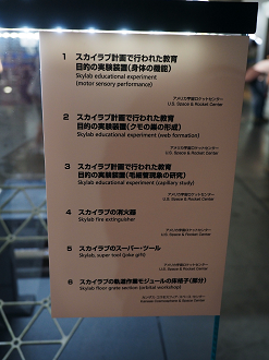 P7261315_thumb.png
