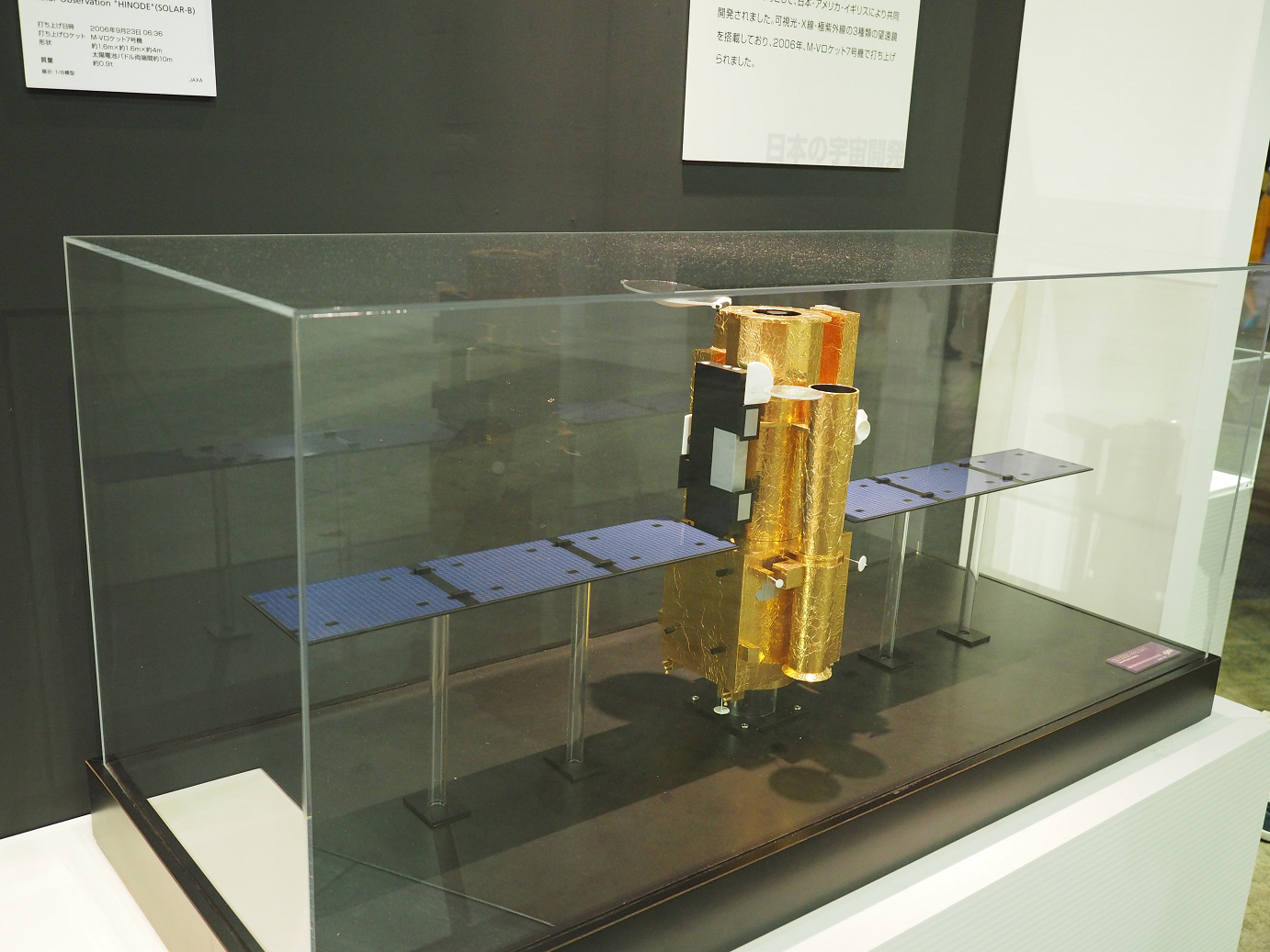 P7261445.jpg