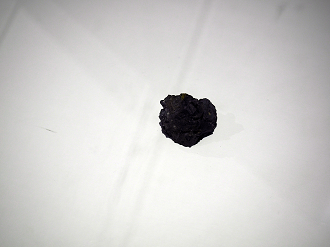 P7261450_thumb.png