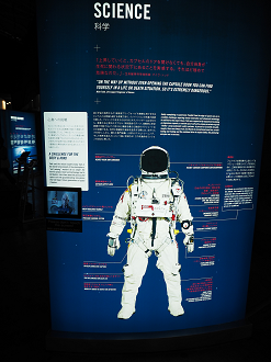 P7261516_thumb.png