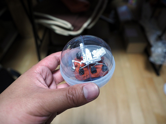 P7261552_thumb.png