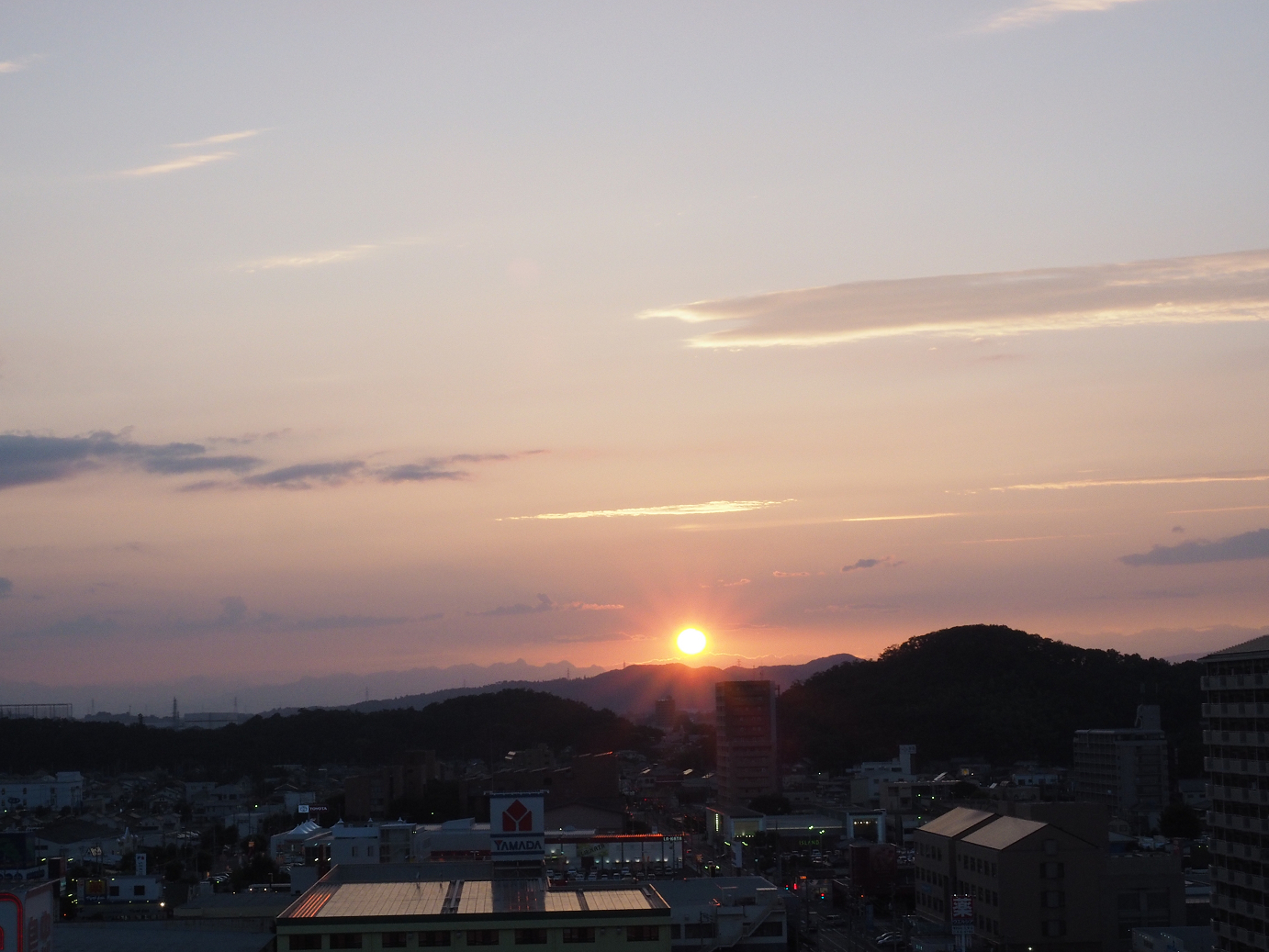 P7261553.jpg