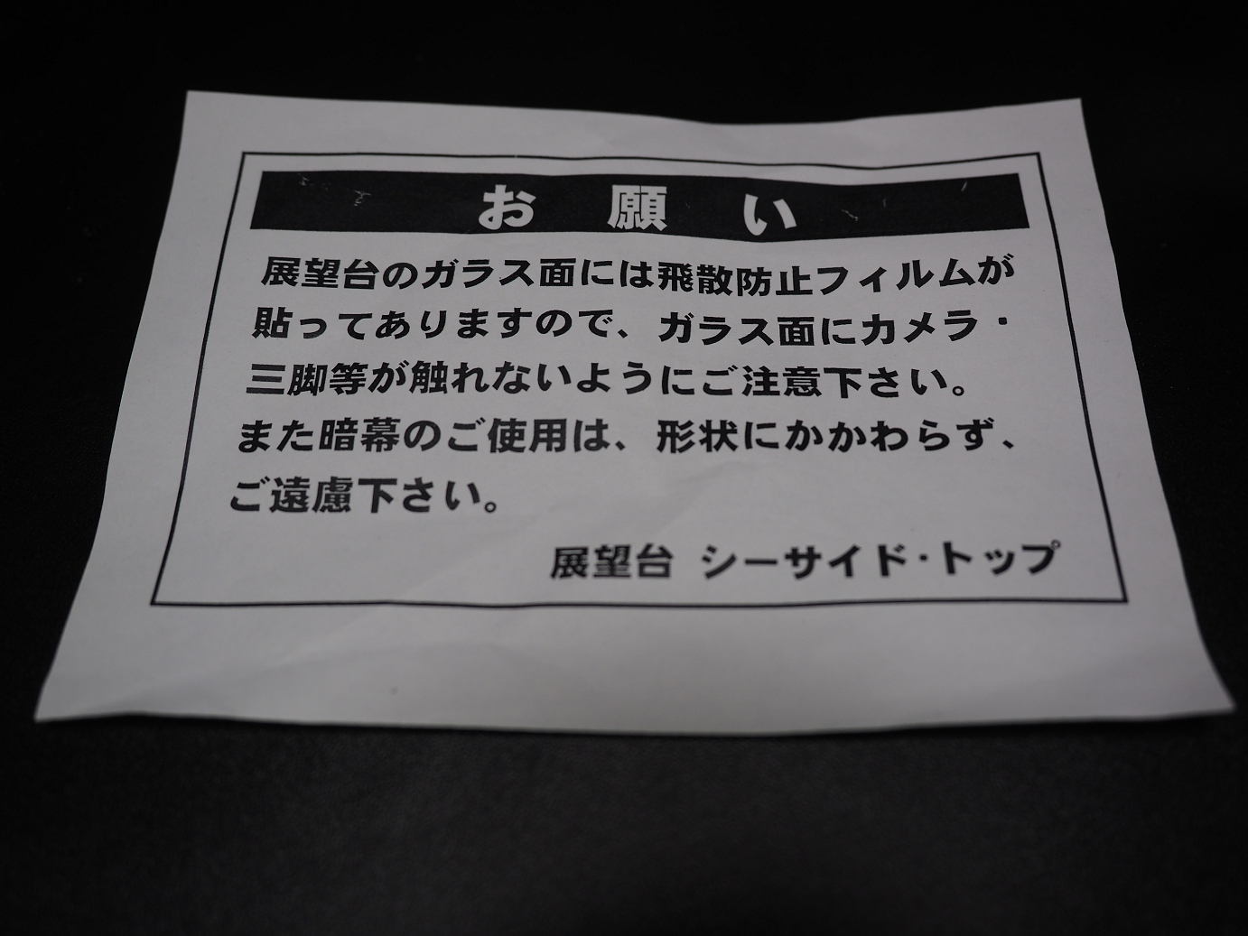 P8010072.jpg