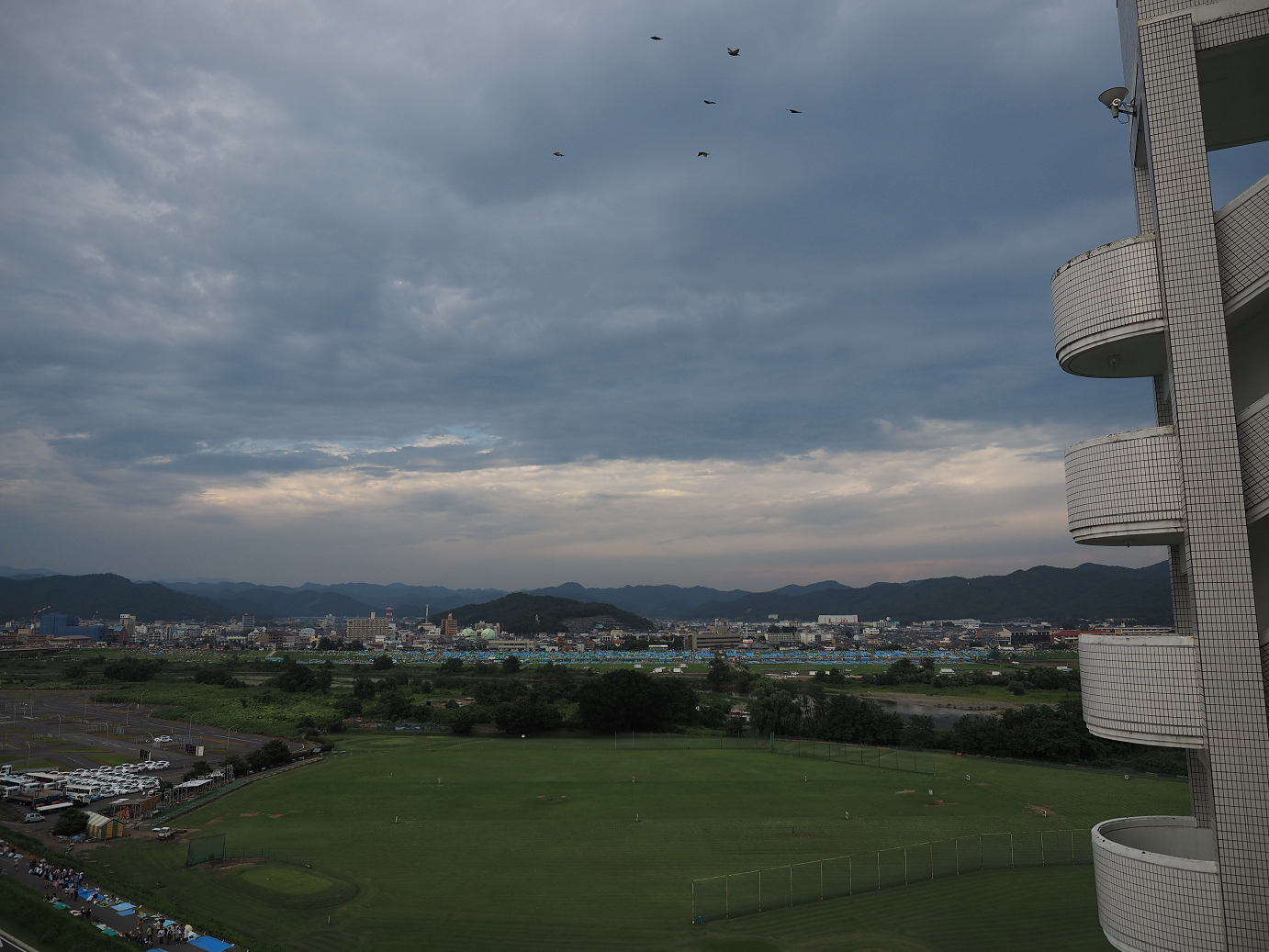 P8020149.jpg