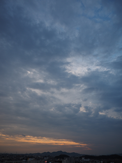 P8020154_thumb.png