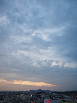 P8020159_thumb.png