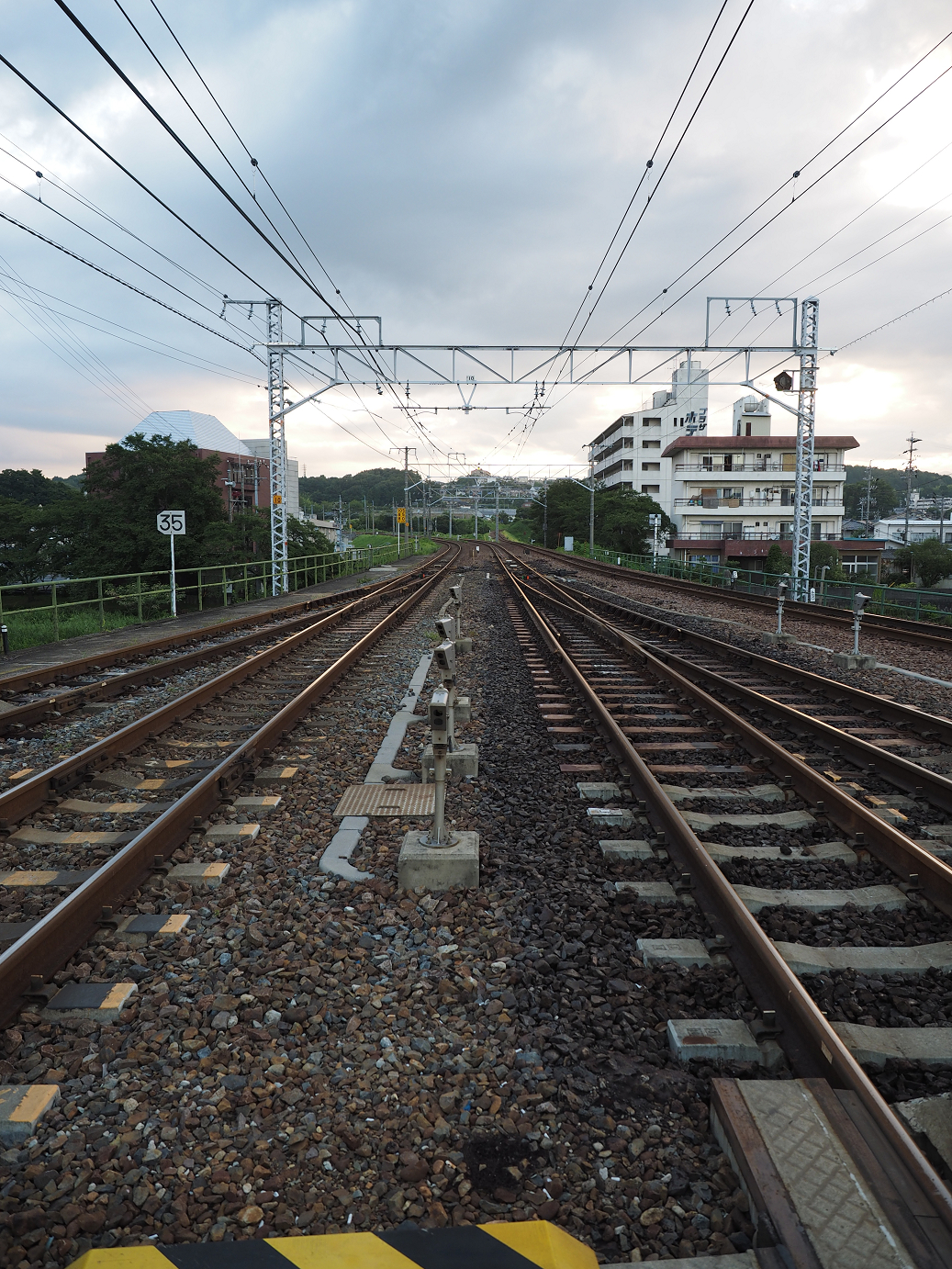 P8060008.jpg
