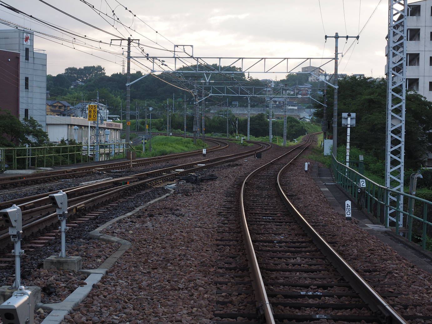 P8060042.jpg