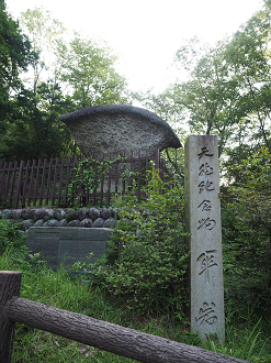 P8060068_thumb.png